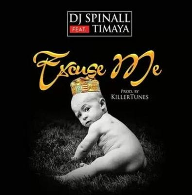 DJ Spinall - Excuse Me ft. Timaya (Prod. By Killertunes) 11 Screenshot_46