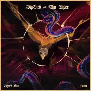 BIGBIRD KUTI, Vector & Odumodublvck – OPP (S) Lyrics