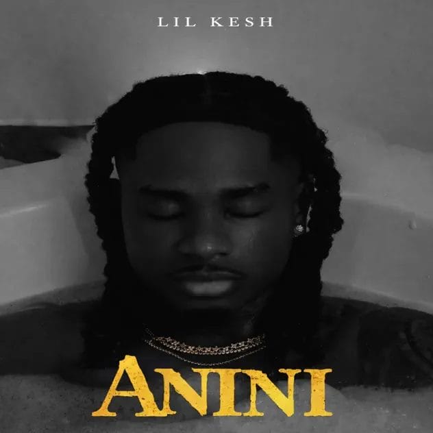 Lil Kesh - Anini (Thief) 11 Lil Kesh - Anini (Thief)